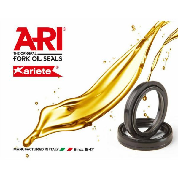 ARI Dust seal, 43 x 54,3 x 6/13