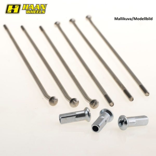 Haan OEM spokeset RM rear 19