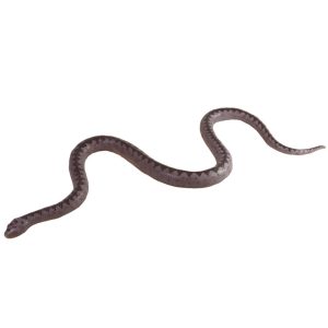 Rubber snake 95cm  1pcs